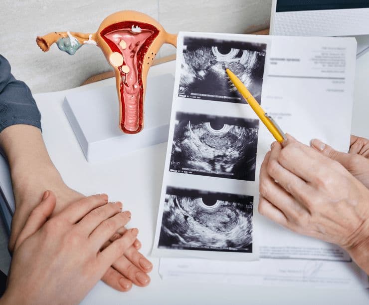 Orientação Hormonal